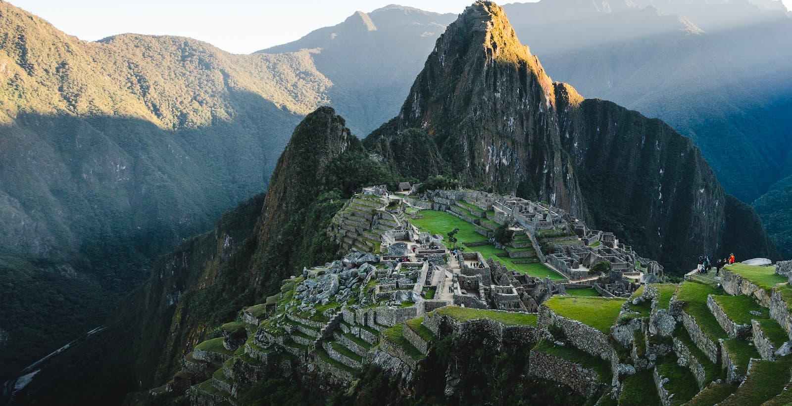 Executive search Travel-tech, Travlr